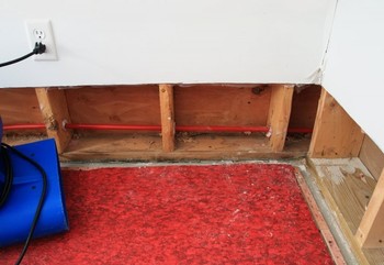 Basement Flood in Maybee, Michigan