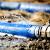 Lincoln Park Sewage Cleanup by United Water Restoration Group of Downriver