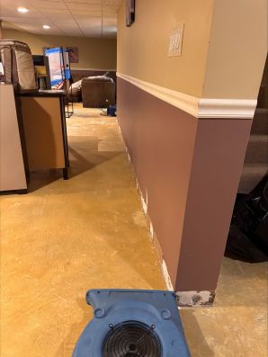 Water Damage Restoration in Canton, MI (1)