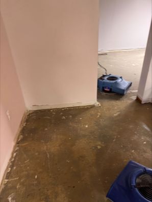 Water Damage Restoration in Ann Arbor, MI (1)