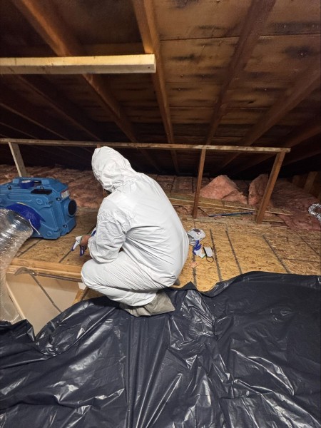 Dry Out Services in Livonia, MI (1)
